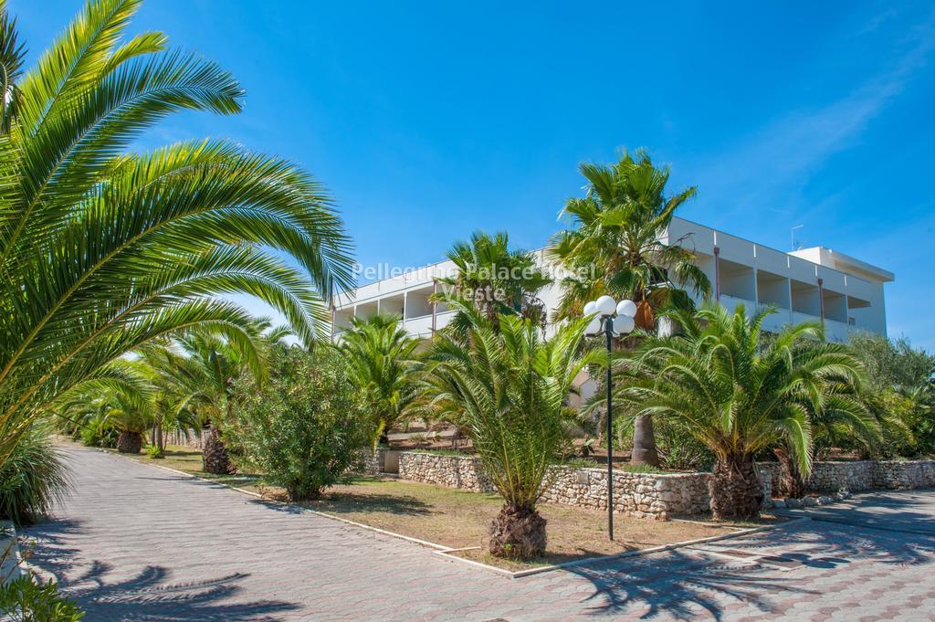 Pellegrino Palace Hotel Vieste Exterior photo